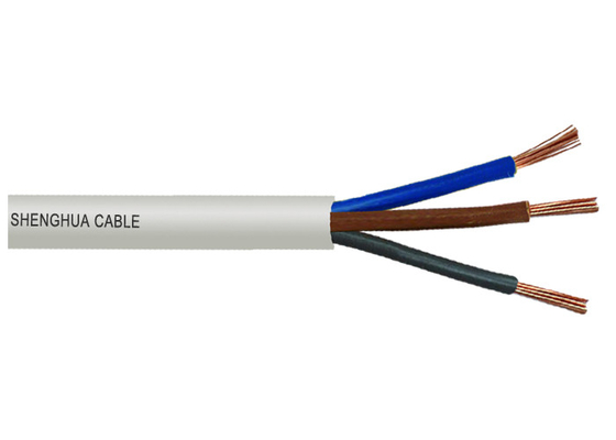 จีน 450V 1mm2 Pvc Insulated Non Sheathed Cables สำหรับอุปกรณ์ไฟฟ้า ผู้ผลิต