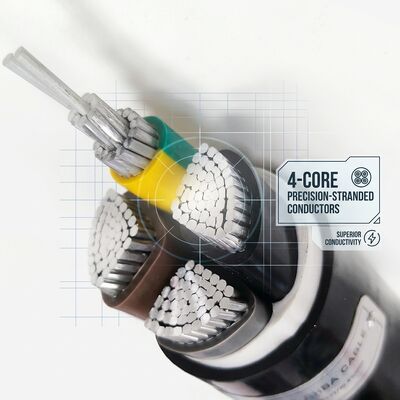 Waterproof Moisture Resistant PVC Insulated Cable 0.6/1kV 2 Core 2x4mm2 Outdoor Wet Area ผู้จัดหา