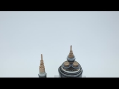 สายไฟหุ้มเกราะ PVC ทองแดง 600V