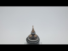 AWA SWA สายเคเบิลหุ้มเกราะทองแดงยาว 100 ม. หุ้ม PVC ตีเกลียว