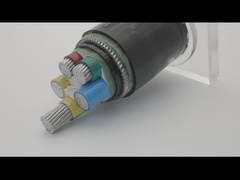 AWA SWA สายเคเบิลหุ้มเกราะทองแดงยาว 100 ม. หุ้ม PVC ตีเกลียว